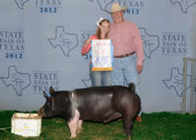 Showtime Sires Winner